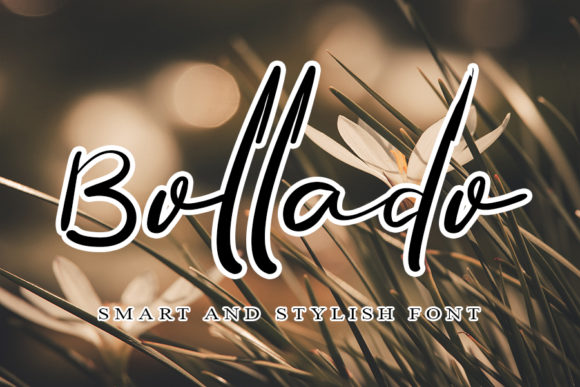 Bollado: A Stunning Freebies Font for Elegant Design