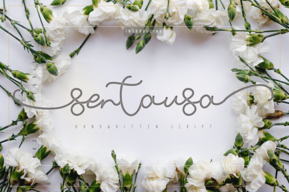 Sentausa Font: A Stylish and Delicate Script Handwritten Typeface